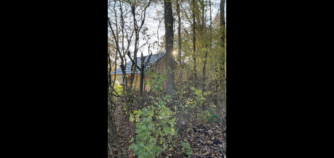 Achterzijde trekkershut Weerribben.JPG