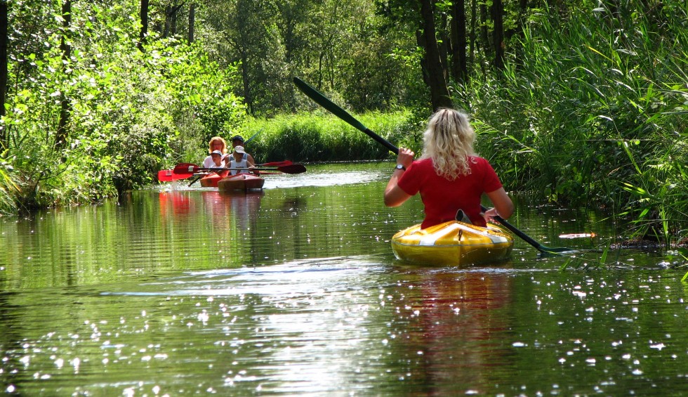 Kanoen Nationaal Park Weerribben Wieden WaterReijk.jpg