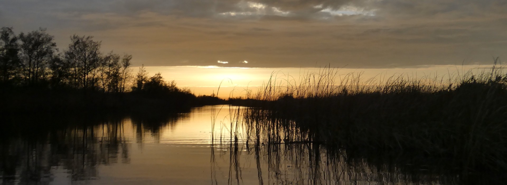 meenthe gat foto EB .jpeg